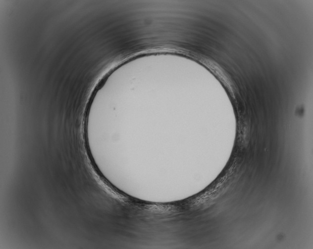 X0000099970805200806201400