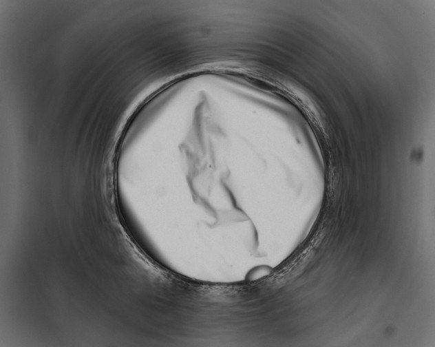 X0000099970808200806201400