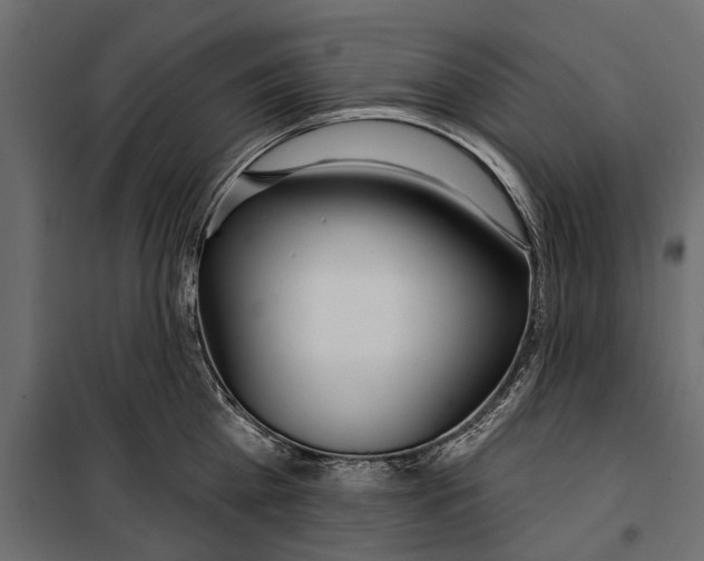 X0000099970809200806201400