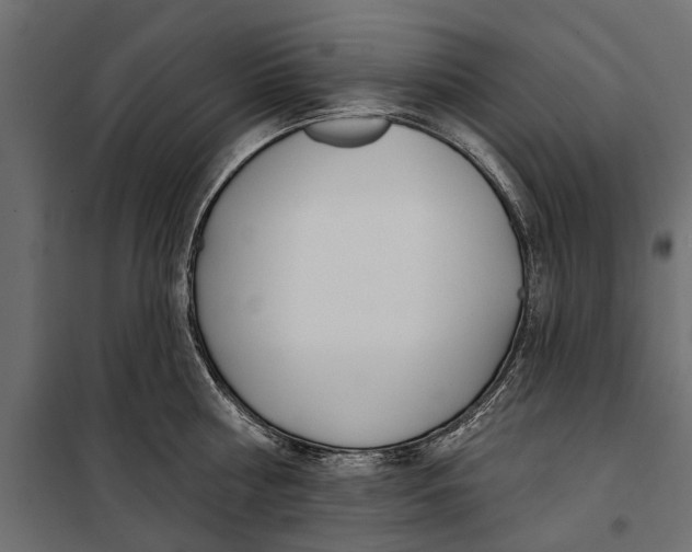 X0000099970810200806201400