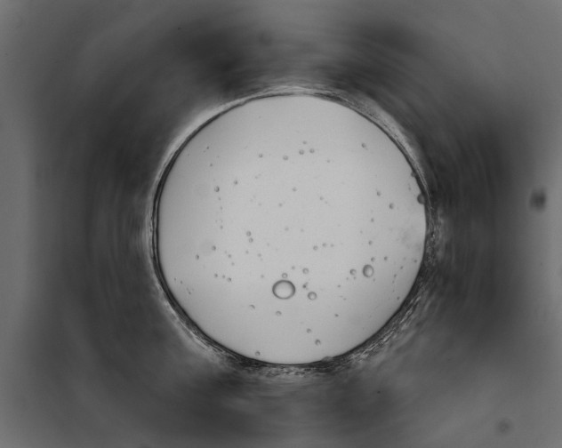 X0000099970811200806201400