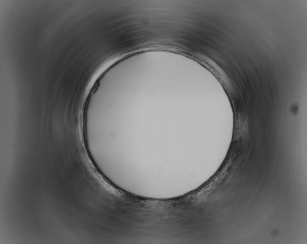 X0000099970812200806201400