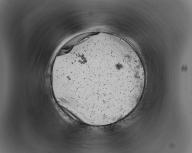 X0000099970816200806201400