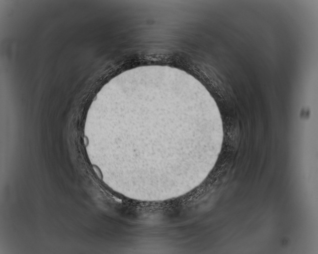 X0000099970817200806201359