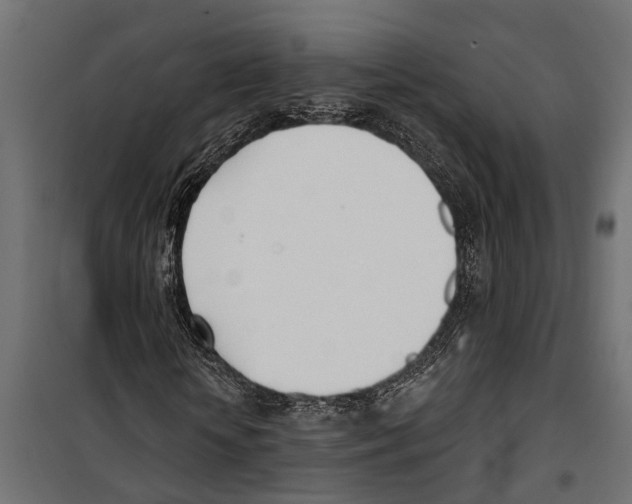 X0000099970818200806201359