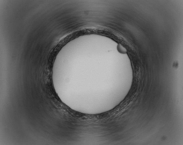 X0000099970822200806201359