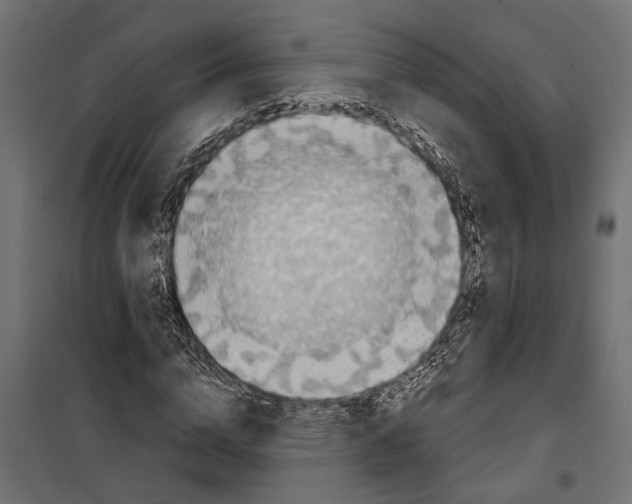 X0000099970824200806201400