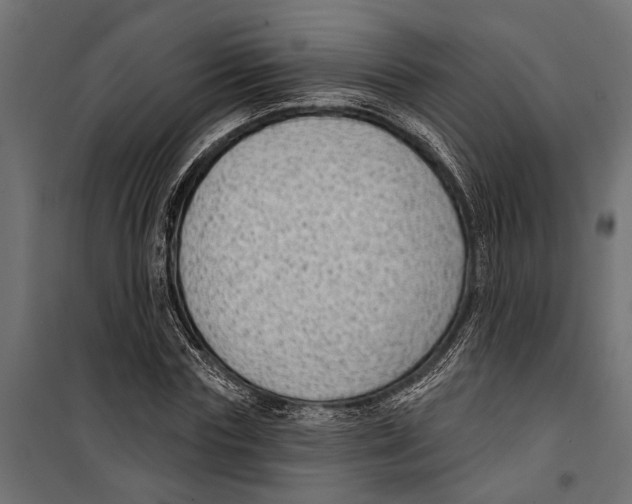 X0000099970827200806201400