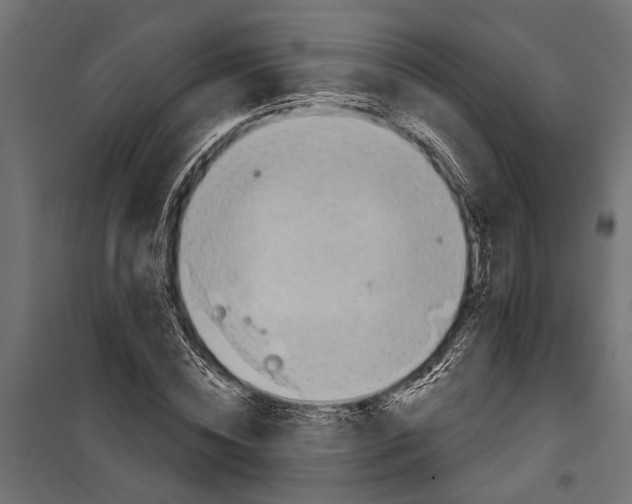 X0000099970828200806201400