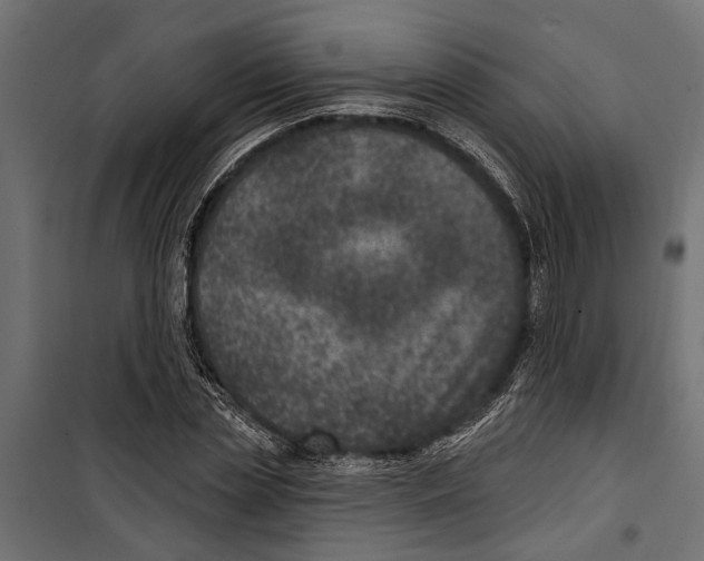 X0000099970829200806201400