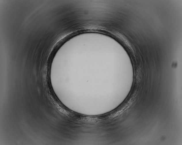 X0000099970831200806201400