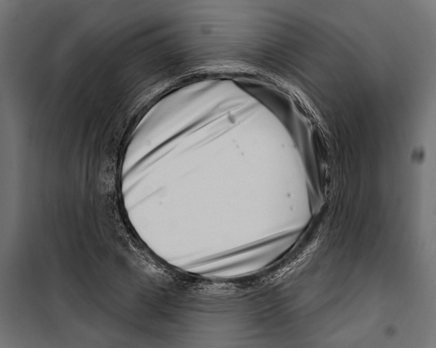 X0000099970833200806201400