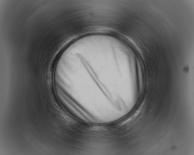 X0000099970835200806201400