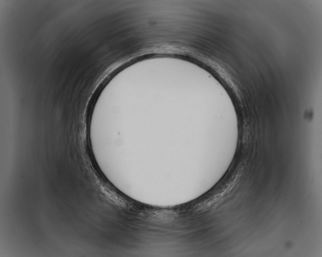 X0000099970837200806201400