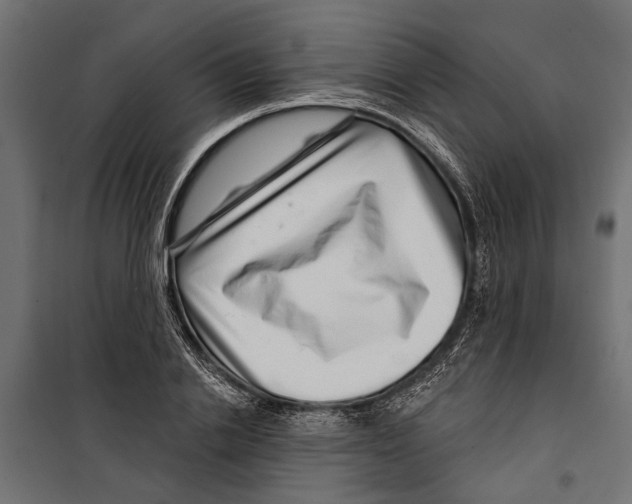 X0000099970838200806201400