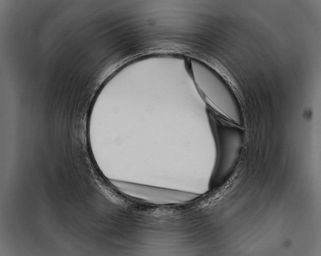 X0000099970842200806201400