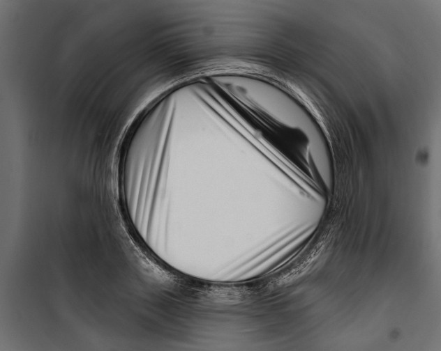 X0000099970843200806201400