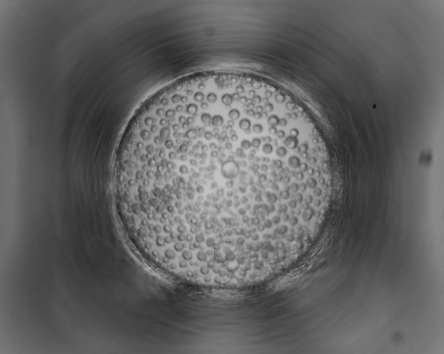 X0000099970848200806201400