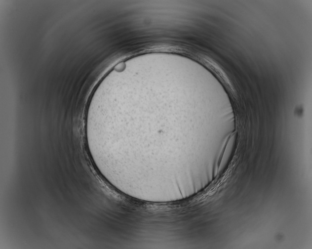 X0000099970852200806201400