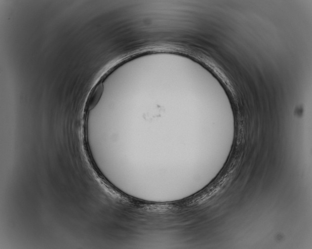 X0000099970853200806201400