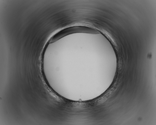 X0000099970854200806201400