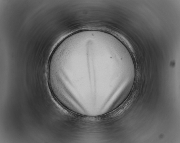 X0000099970855200806201400