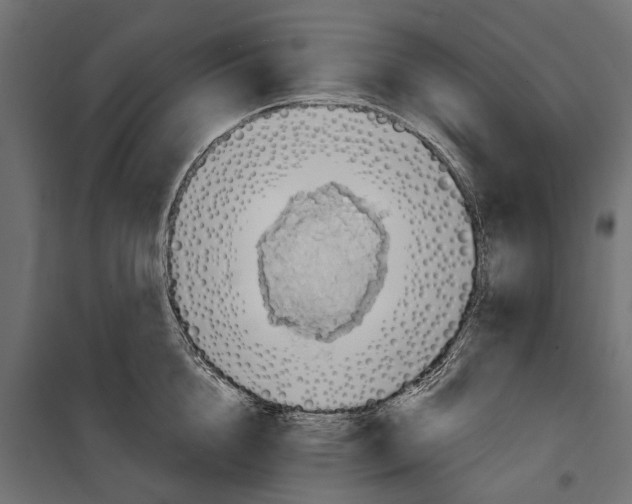 X0000099970856200806201400