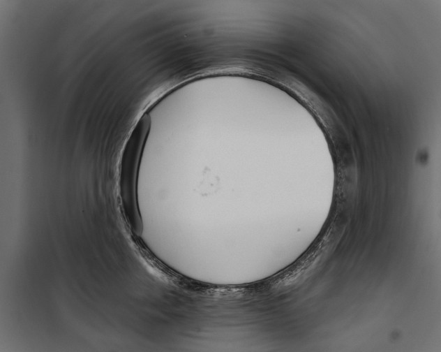 X0000099970858200806201400