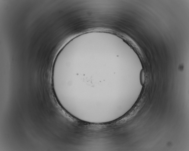 X0000099970860200806201400