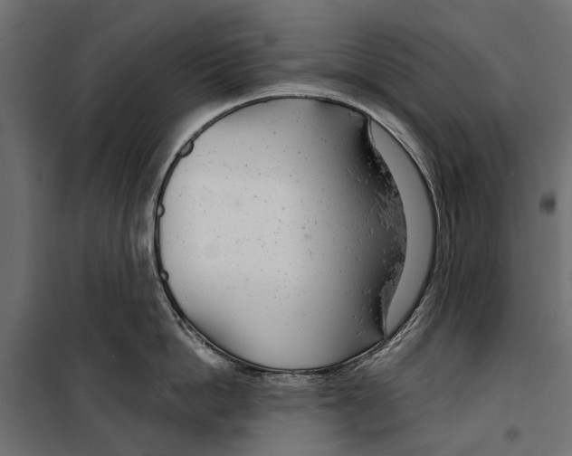 X0000099970862200806201400