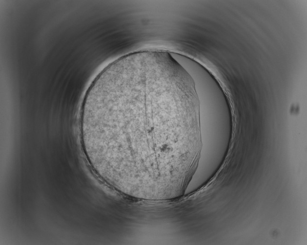 X0000099970864200806201400