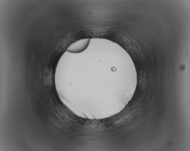 X0000099970866200806201359