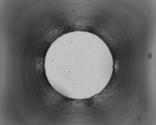 X0000099970867200806201359