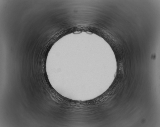 X0000099970868200806201359