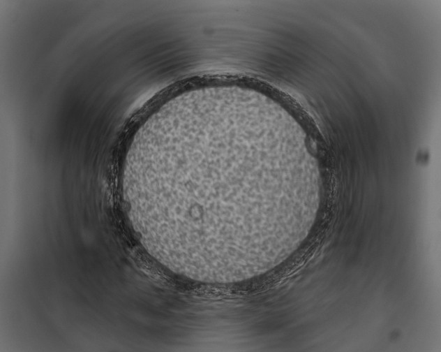 X0000099970871200806201359