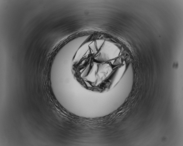 X0000099970872200806201359