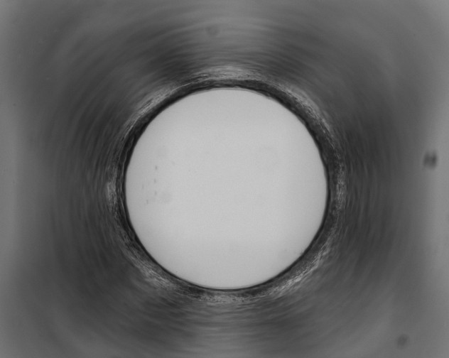 X0000099970873200806201359