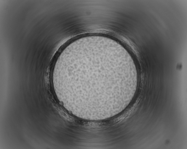 X0000099970875200806201359