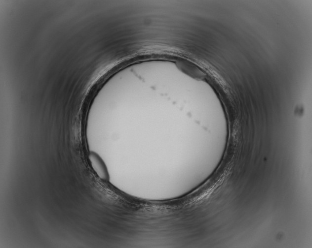 X0000099970877200806201359