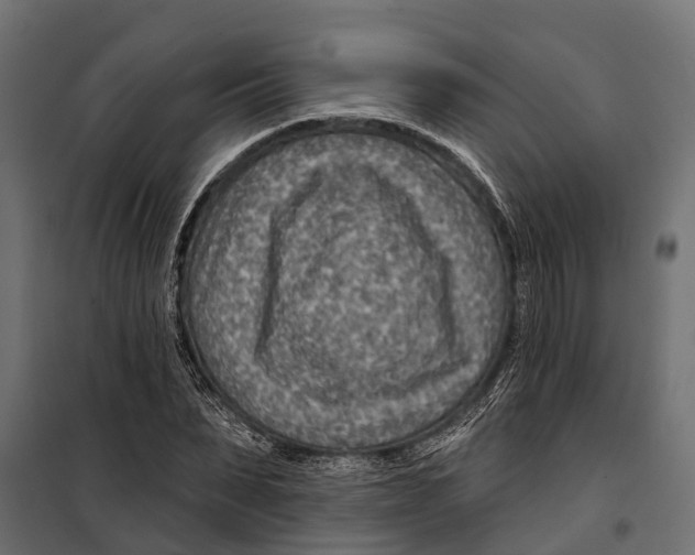 X0000099970879200806201359