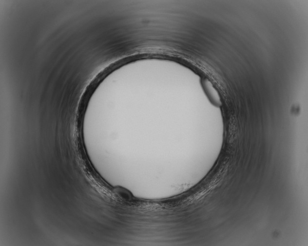 X0000099970880200806201359