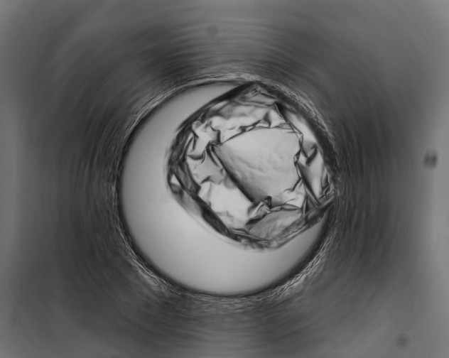 X0000099970881200806201359