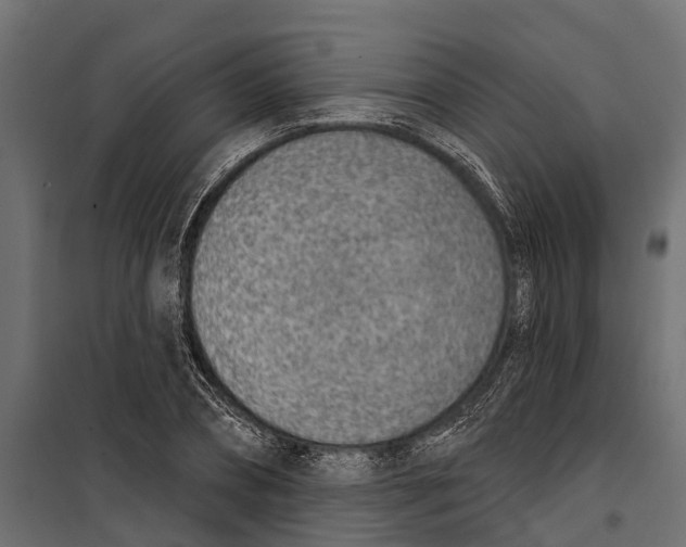 X0000099970882200806201359