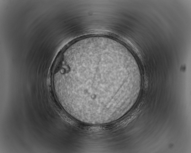 X0000099970883200806201359