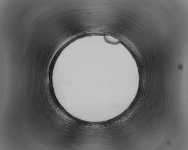 X0000099970884200806201359