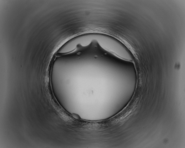 X0000099970885200806201359