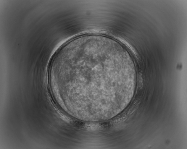 X0000099970886200806201359