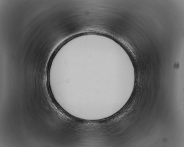 X0000099970888200806201359