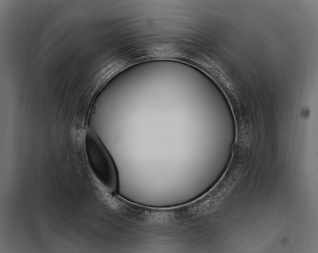 X0000099970889200806201359