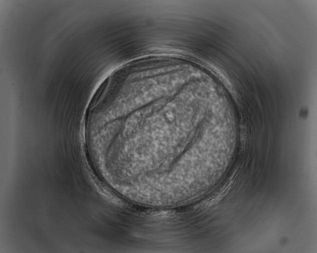 X0000099970891200806201359